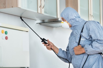 Home Pest Control, Pest Control in London. Call Now 020 3519 0469