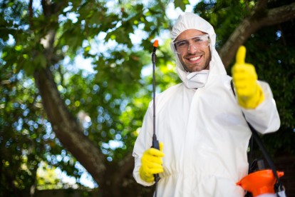 24 Hour Pest Control, Pest Control in London. Call Now 020 3519 0469
